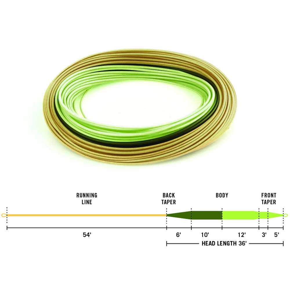 RIO Intouch RIO Perception Fly Line - Fintek